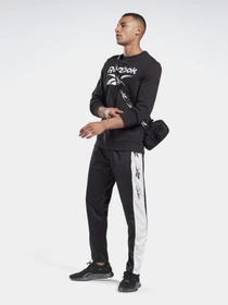 Брюки Reebok TE VECTOR модель GL3153 Фото