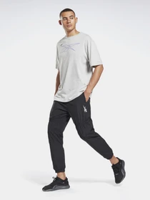 Брюки Reebok MYT OLLIE модель GL3245 Фото