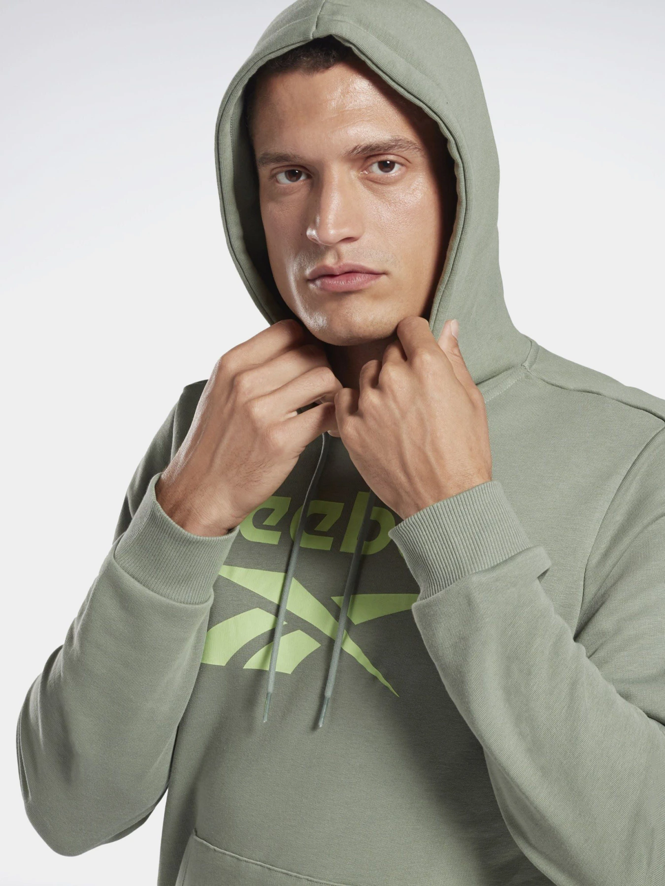 Худи и свитшоты Reebok IDENTITY BIG LOGO модель GI8507 Худи и свитшоты Reebok IDENTITY BIG LOGO модель GI8507 Фото