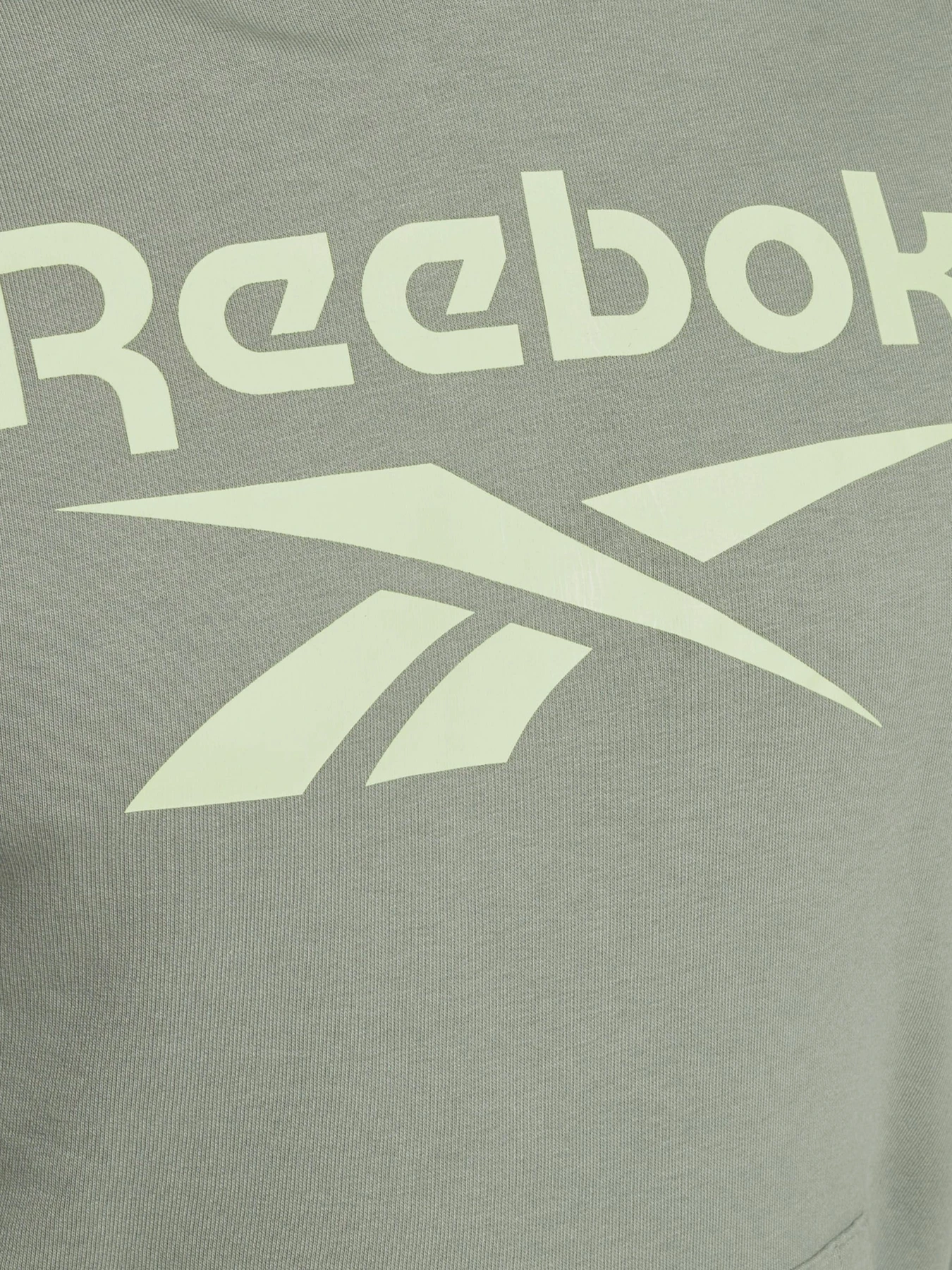 Худи и свитшоты Reebok IDENTITY BIG LOGO модель GI8507 Худи и свитшоты Reebok IDENTITY BIG LOGO модель GI8507 Фото