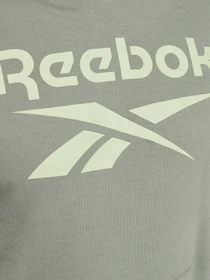 Худи и свитшоты Reebok IDENTITY BIG LOGO модель GI8507 Фото