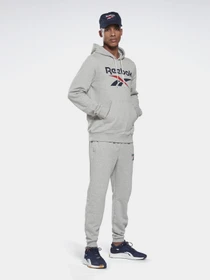 Худи и свитшоты Reebok IDENTITY BIG LOGO модель GI8659 Фото
