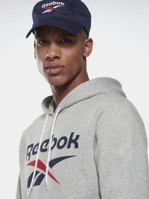 Худи и свитшоты Reebok IDENTITY BIG LOGO модель GI8659 Фото