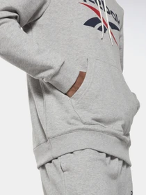 Худи и свитшоты Reebok IDENTITY BIG LOGO модель GI8659 Фото