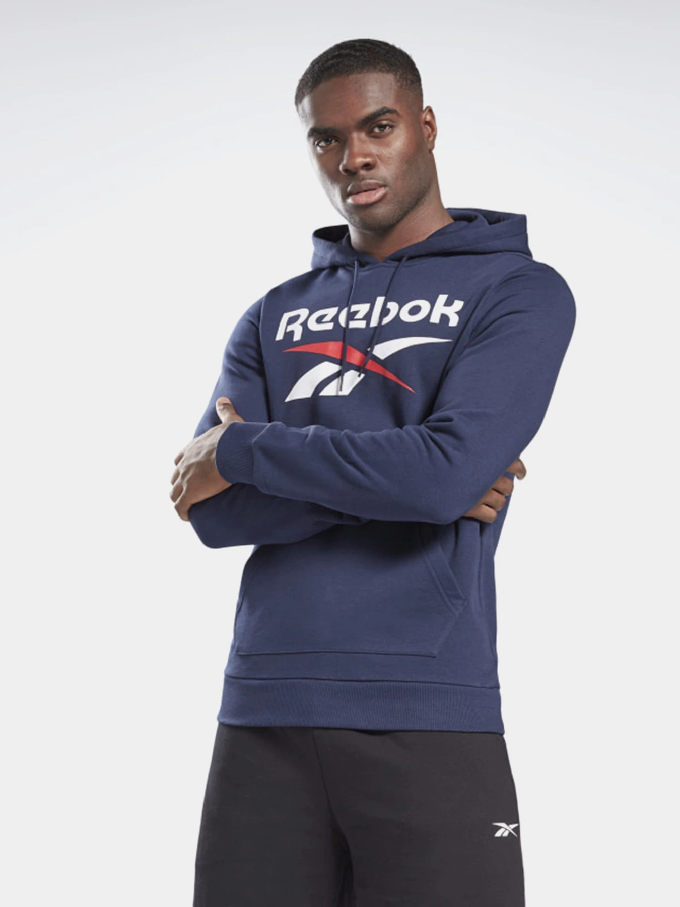 Худі та світшоти Reebok Identity Big Logo модель GI8662 Худі та світшоти Reebok Identity Big Logo модель GI8662 Фото