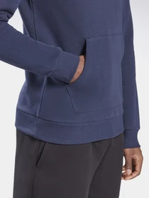 Худі та світшоти Reebok Identity Big Logo модель GI8662 Фото