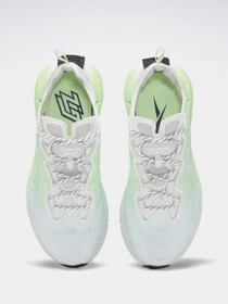 Кросівки Reebok ZIG KINETICA II модель FX9406 Фото