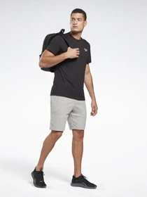Футболки и поло Reebok RI CLASSIC TEE модель GJ0639 Фото