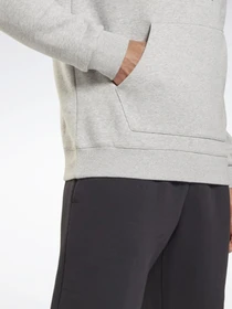 Худи и свитшоты Reebok RI FLEECE OTH HOODIE модель GT5790 Фото