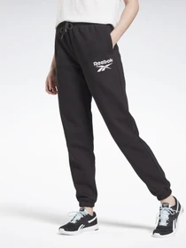 Брюки Reebok RI BL FLEECE PANT модель GR9400 Фото