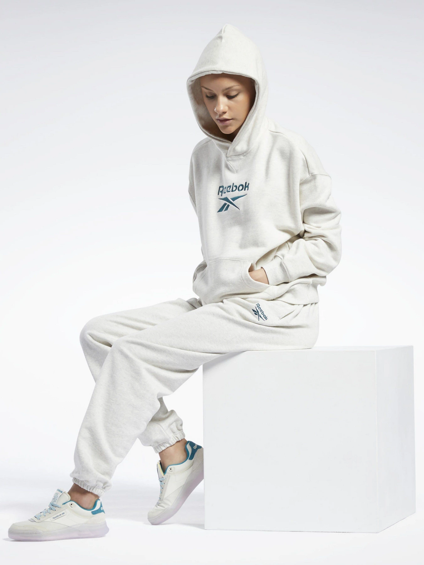 Худі та світшоти Reebok CL F BIG LOGO FT HOODIE модель GS1738 Худі та світшоти Reebok CL F BIG LOGO FT HOODIE модель GS1738 Фото