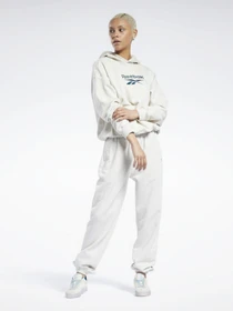 Худі та світшоти Reebok CL F BIG LOGO FT HOODIE модель GS1738 Фото