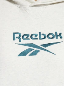 Худі та світшоти Reebok CL F BIG LOGO FT HOODIE модель GS1738 Фото