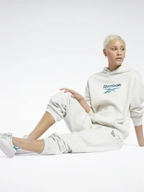 Брюки Reebok CL PF SM LOGO FT PANT модель GS1745 Фото