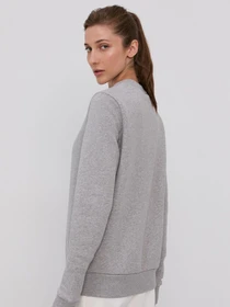 Худі та світшоти Reebok RI FLEECE HOODY модель GS9386 Фото