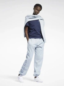 Брюки Reebok Classics Graphic Fleece модель H43026 Фото