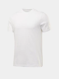 Футболки и поло Reebok Gb Short Sleeve Cotton Vector модель FT9618 Фото