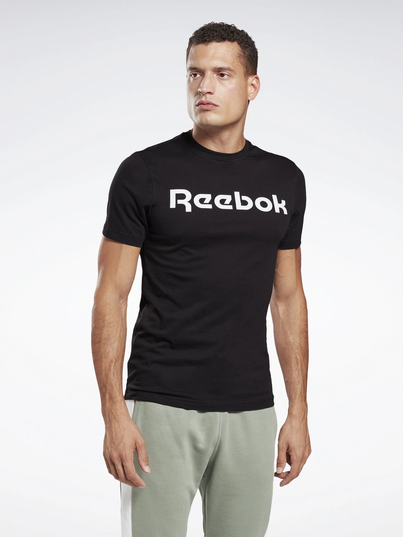 Футболки и поло Reebok Graphic Series Linear Logo модель GJ0136 Футболки и поло Reebok Graphic Series Linear Logo модель GJ0136 Фото