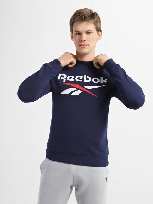Худи и свитшоты Reebok Identity Big Logo Crew модель GJ0527 Фото