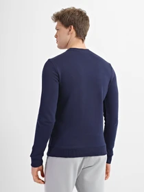 Худи и свитшоты Reebok Identity Big Logo Crew модель GJ0527 Фото