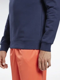 Худи и свитшоты Reebok Identity Big Logo Crew модель GJ0527 Фото