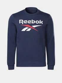 Худи и свитшоты Reebok Identity Big Logo Crew модель GJ0527 Фото