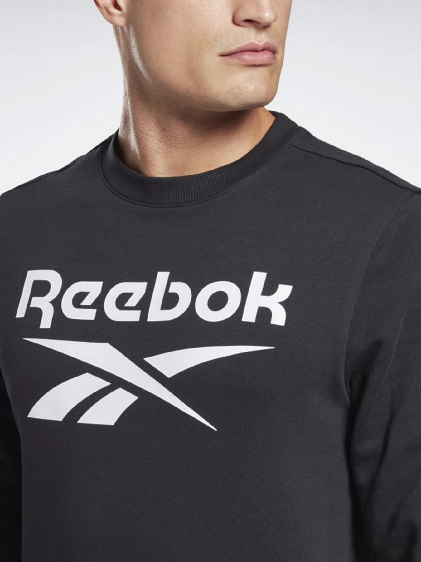 Худи и свитшоты Reebok Identity Big Logo Crew модель GL3166 Худи и свитшоты Reebok Identity Big Logo Crew модель GL3166 Фото