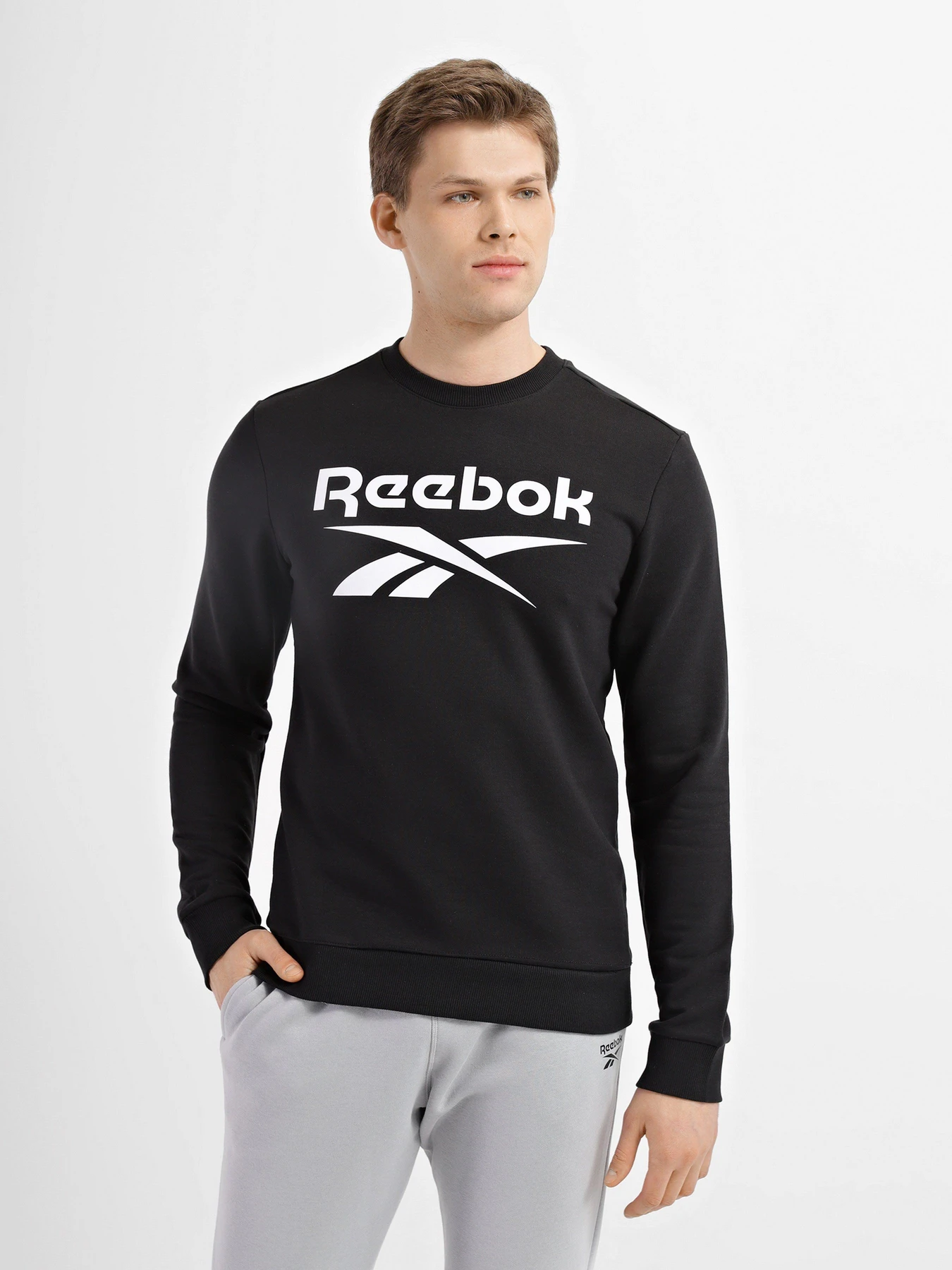 Худи и свитшоты Reebok Identity Big Logo Crew модель GL3166 Худи и свитшоты Reebok Identity Big Logo Crew модель GL3166 Фото