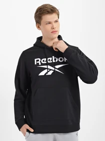 Худи и свитшоты Reebok Identity Big Logo модель GL3168 Фото