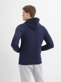 Худи и свитшоты Reebok Identity Big Logo модель GL3169 Фото