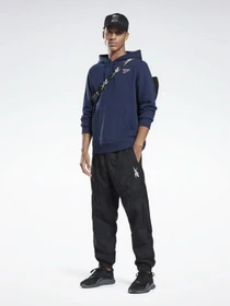 Худи и свитшоты Reebok Identity Big Logo модель GL3169 Фото