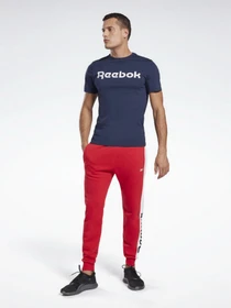 Футболки и поло Reebok Linear модель GN5378 Фото
