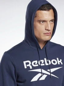 Худи и свитшоты Reebok Identity Big Logo модель GQ3538 Фото