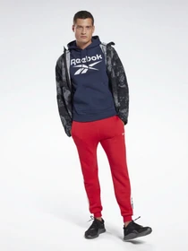 Худи и свитшоты Reebok Identity Big Logo модель GQ3538 Фото