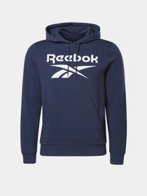 Худи и свитшоты Reebok Identity Big Logo модель GQ3538 Фото