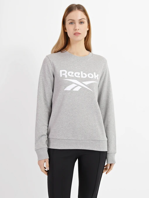 Худи и свитшоты Reebok RI BL French Terry модель GQ9497 Фото