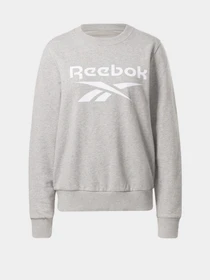 Худі та світшоти Reebok RI BL French Terry модель GQ9497 Фото
