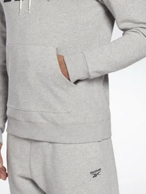 Худі та світшоти Reebok Identity Big Logo модель H54477 Фото