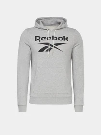 Худі та світшоти Reebok Identity Big Logo модель H54477 Фото