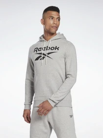 Худі та світшоти Reebok Identity Big Logo модель H54477 Фото