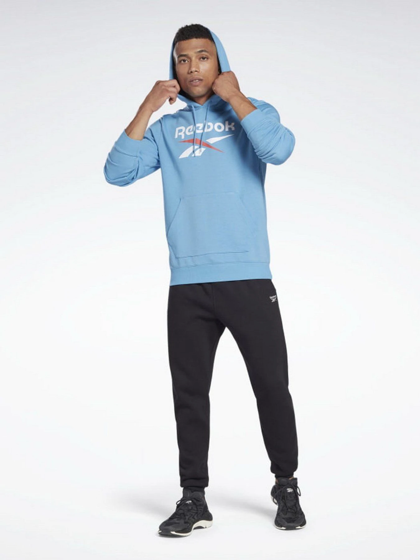 Худи и свитшоты Reebok Identity Big Logo модель H54478 Худи и свитшоты Reebok Identity Big Logo модель H54478 Фото