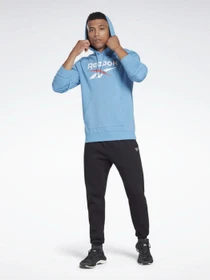 Худи и свитшоты Reebok Identity Big Logo модель H54478 Фото