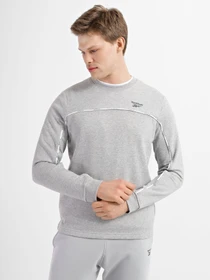 Худі та світшоти Reebok Piping Crew модель HA1069 Фото