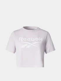 Футболки и поло Reebok Identity модель HB2277 Фото