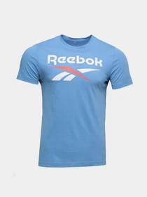 Футболки и поло Reebok Ri Big Logo Tee модель HD4217 Фото