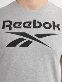 Футболки и поло Reebok Ri Big Logo Tee модель HD4219 Фото