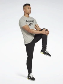 Футболки и поло Reebok Ri Big Logo Tee модель HD4219 Фото