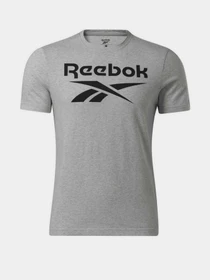 Футболки и поло Reebok Ri Big Logo Tee модель HD4219 Фото