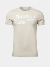 Футболки и поло Reebok Ri Big Logo Tee модель HD4221 Фото