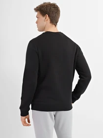 Худи и свитшоты Reebok Identity Fleece Crew модель HG4445 Фото
